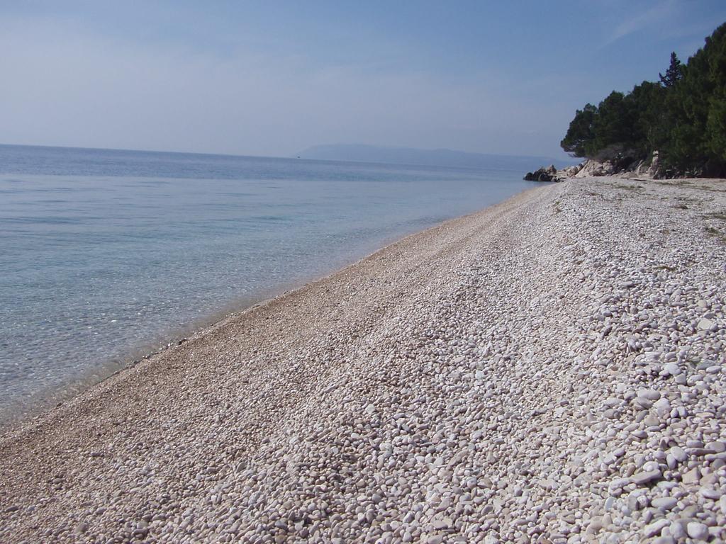 Nikola Makarska